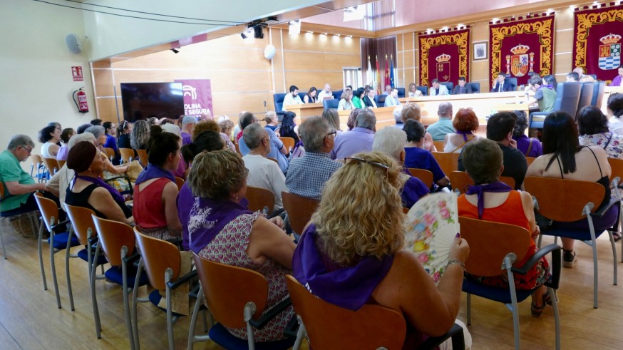 Celebración del pleno en el Ayuntamiento de Molina de Segura este lunes. PSOE MOLINA