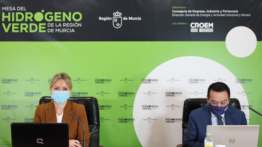 Martínez Vidal y Albarracín en la Mesa del Hidrógeno Verde. CARM