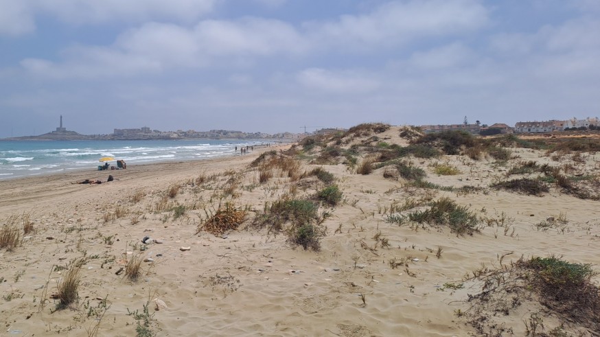 El MITECO restaurará más de 117.000 m2 de espacios dunares en La Manga 