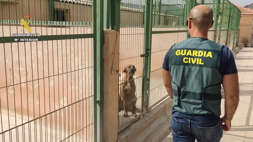 Detenido en Ceutí por estafar a los dueños de perros robados