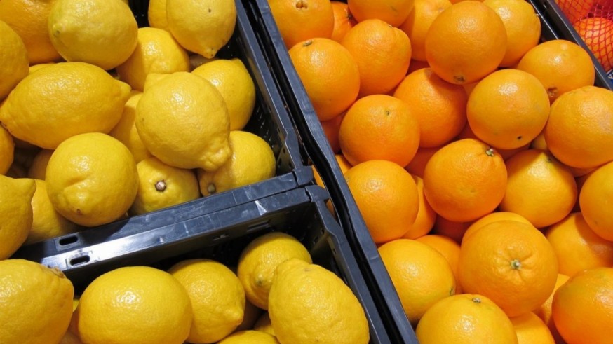 COAG y CECU piden investigar si supermercados españoles venden fruta de territorios palestinos ocupados como israelí