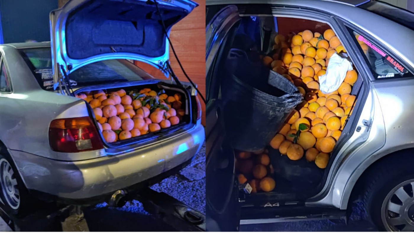 Detenido en Espinardo al transportar 500 kilos de naranjas y mandarinas en su coche y no justificar su procedencia
