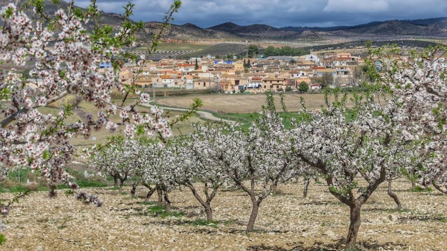 Lorca. El futuro de las Tierras Altas de Lorca