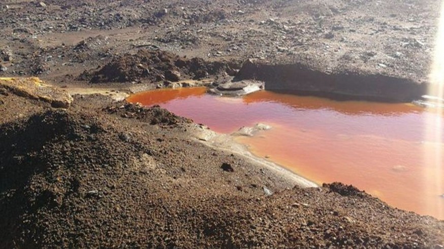 Restaurar los suelos contaminados de la Sierra Minera de Cartagena y La Unión como actividad económica 