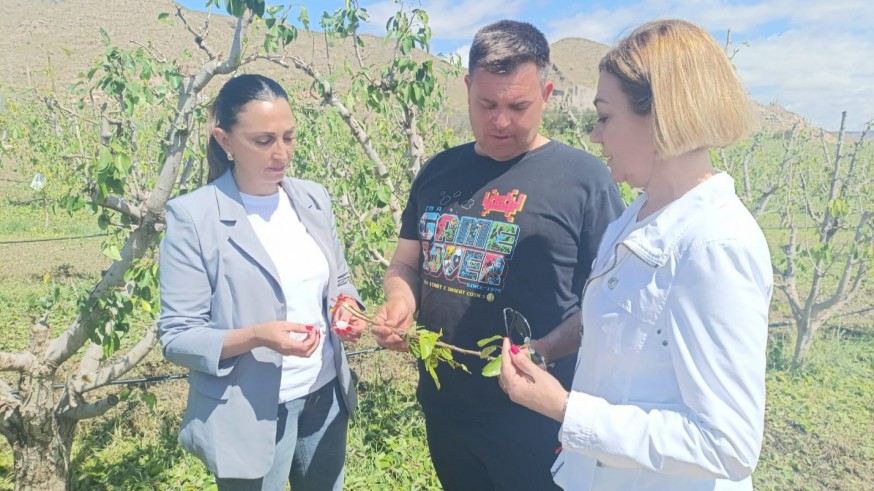 Rubira pedirá ayudas a Planas para los afectados por la granizada