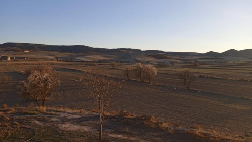 COAG advierte que la sequía invernal "asfixia" a los cultivos de secano 