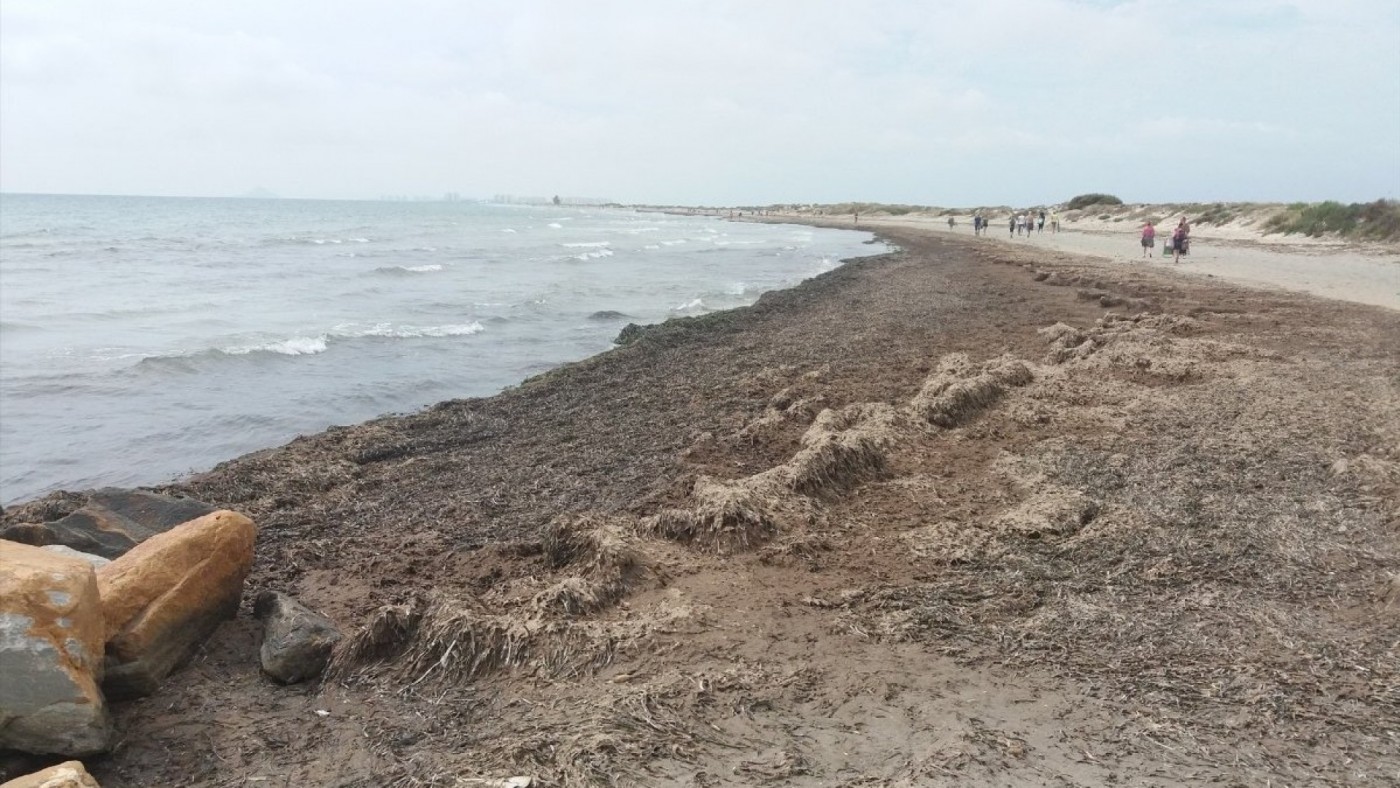 El BOE publica el visto bueno ambiental al acondicionamiento de la playa de La Llana