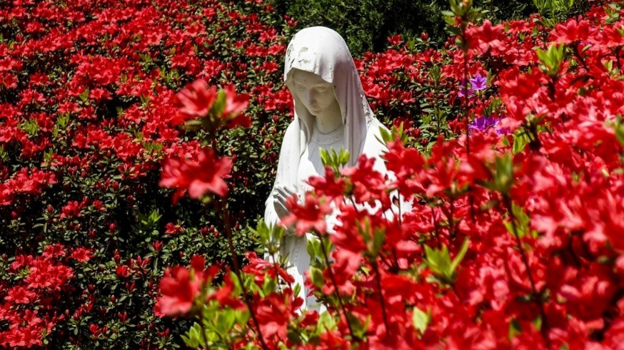 Flores, fe y color: El simbolismo mariano y la tradición de los Mayos en Alhama
