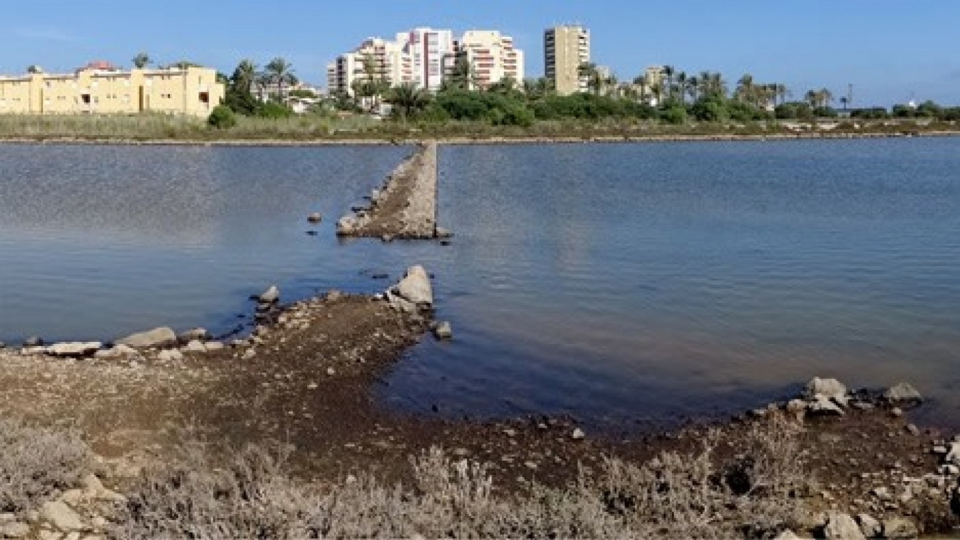 La Fundación ANSE muestra a la ministra Ribera el Estacio y Marchamalo