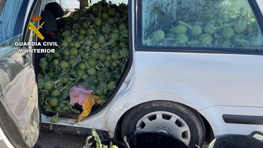 VIDEO | Diez detenidos por robar 7 toneladas de fruta y hortalizas para la venta ambulante