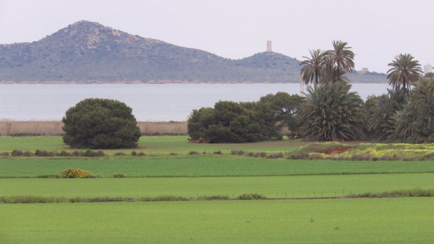 Reconocen "sanciones diarias" a los agricultores por incumplir la ley del Mar Menor