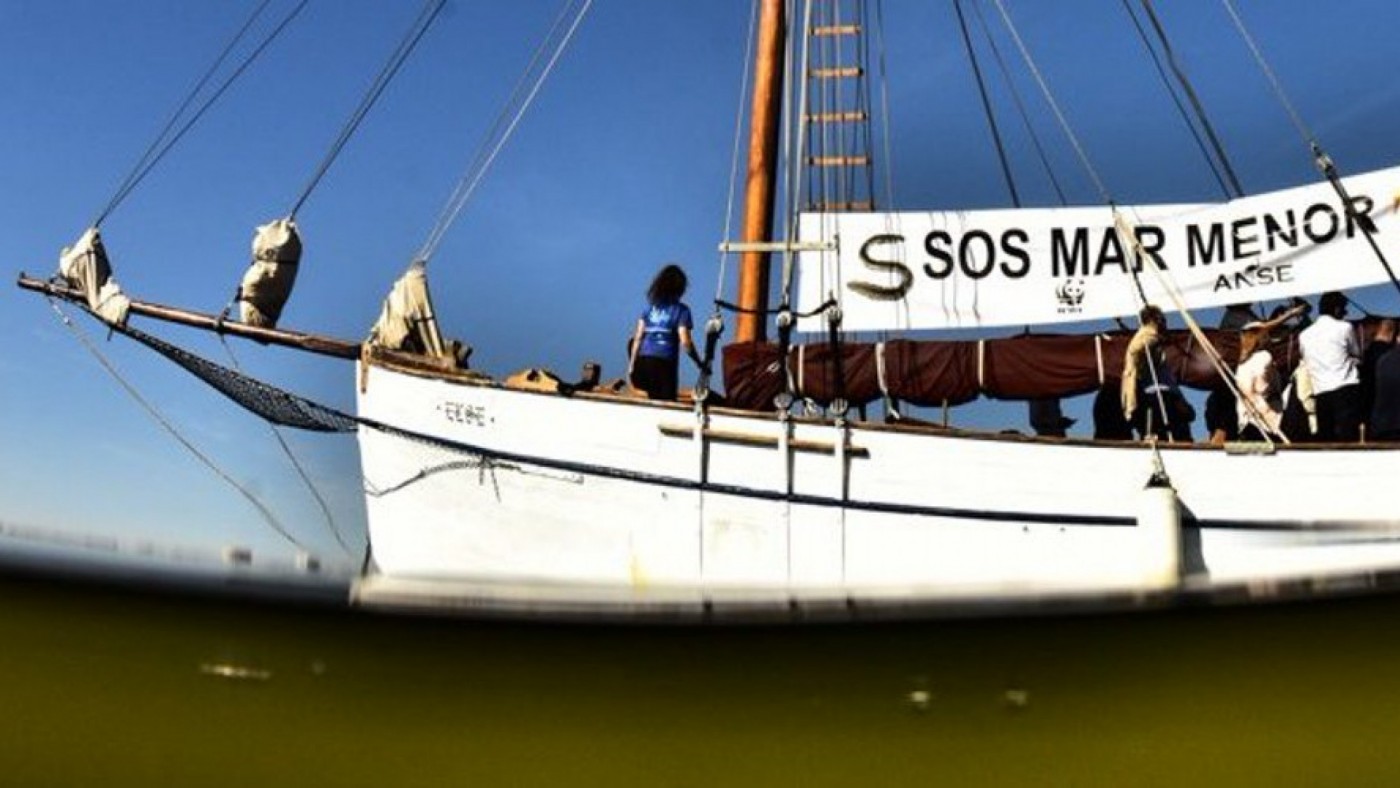 Los expertos pronostican un nuevo episodio de 'sopa verde' en el Mar Menor