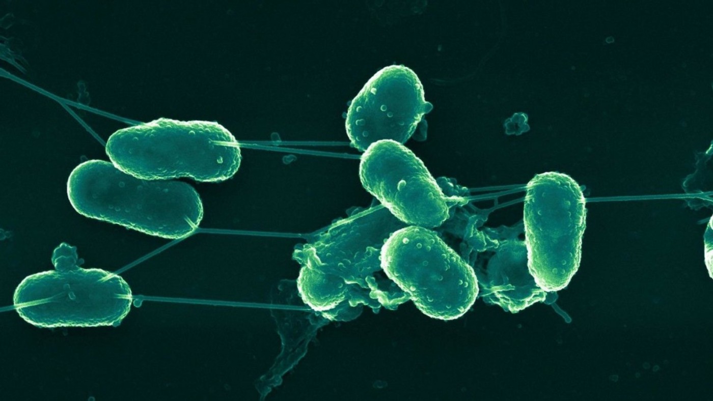  1.932 infecciones por bacterias en hospitales de la Región de enero a septiembre de 2025
