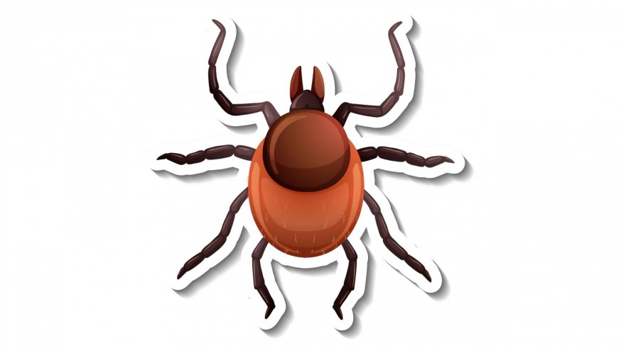 Una cita con Sherlock Health. Proliferación de garrapatas