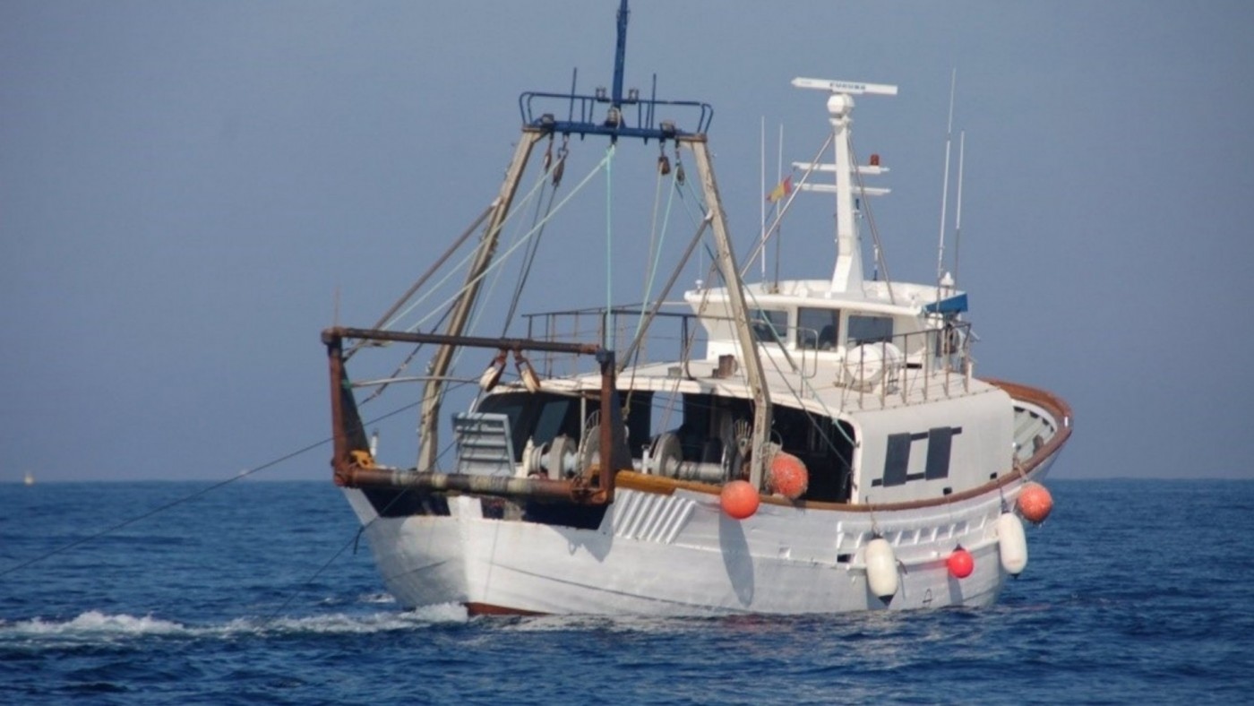 Las medusas reducen en un 90 por ciento la pesca en el Mar Menor