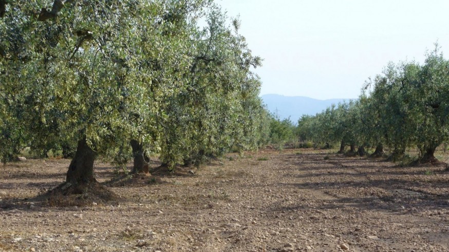 UPA, frustrada con las medidas del Gobierno murciano ante la guerra