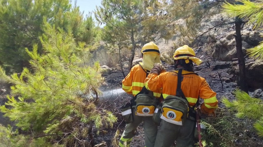 Efectivos del Plan Infomur trabajan en la extinción de un incendio forestal en Mazarrón