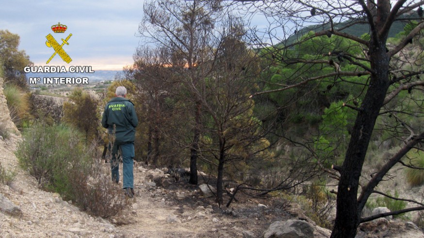 La Guardia Civil esclarece un incendio forestal en Ojós 