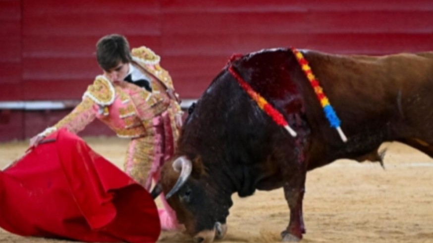 Castellón y Valencia: Impacta Navalón, triunfa Luque, sorprende Norte