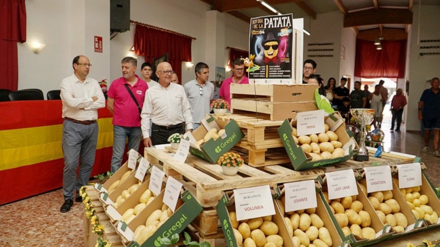 La Puebla encara su Fiesta de la Patata entre el desafío climático y la búsqueda de un sello de calidad