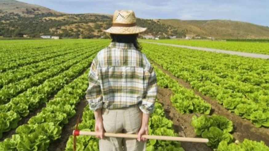 “Las mujeres rurales: de sostener la economía a decidir sobre ella"
