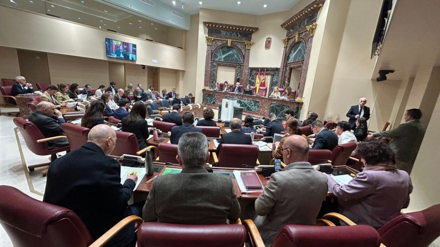 PP impulsa el aumento progresivo de las becas de comedor en la Región y el PSOE pide reconocerlas como derecho subjetivo