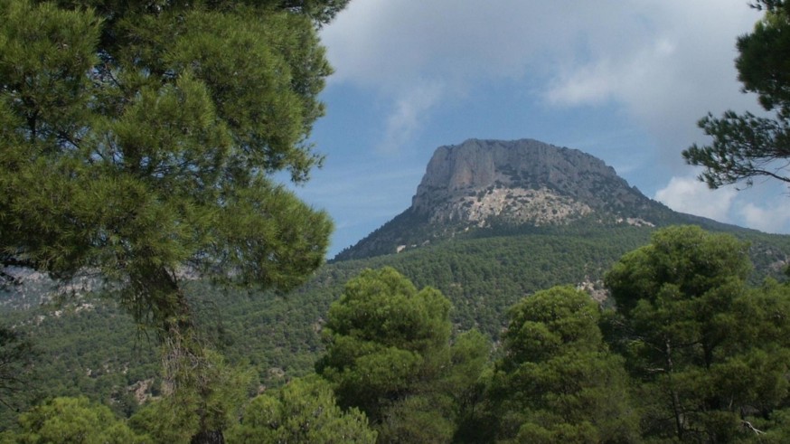 La protección de El Valle llega a Change.org