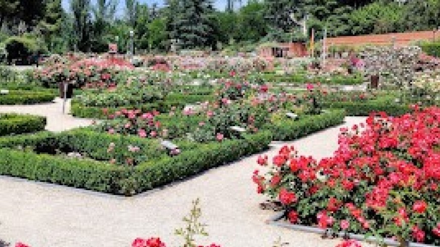 La Magia de las Plantas, con Diego Rivera. Las rosaledas de Madrid