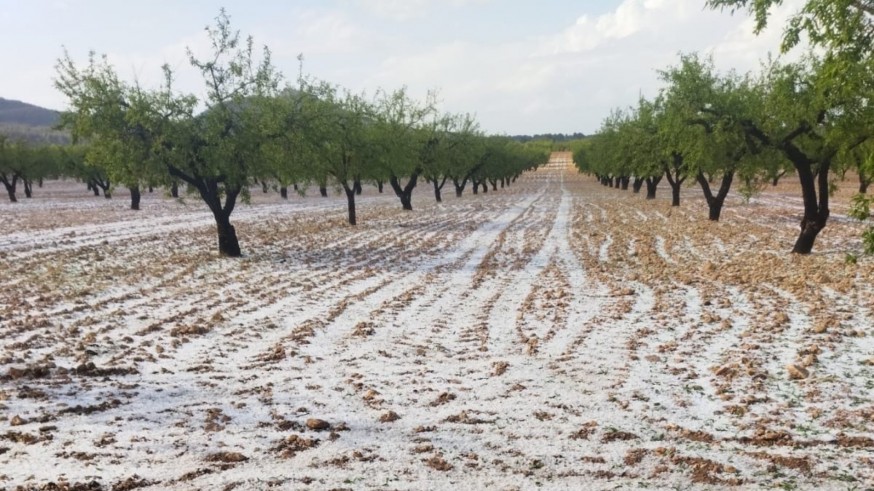 Estiman en más de 11 millones los daños agrícolas ocasionados por el granizo del pasado abril