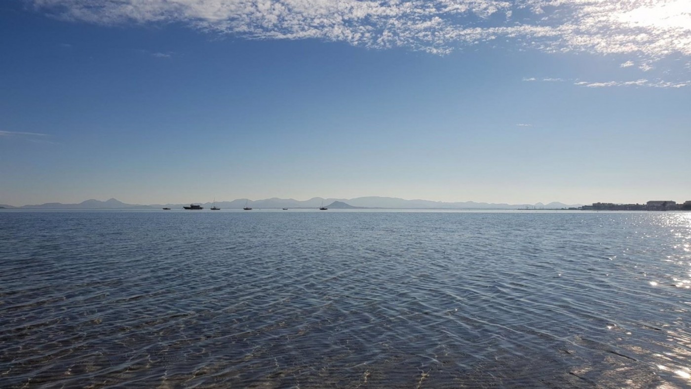El Mar Menor volvió a sufrir episodios de hipoxia tras las lluvias torrenciales