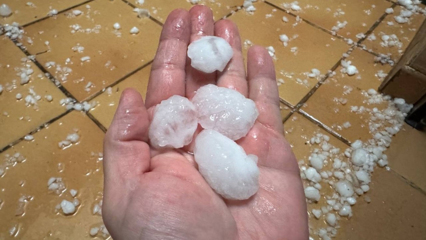 Agroseguro estima en 10.000 las hectáreas afectadas por el granizo en la Región 