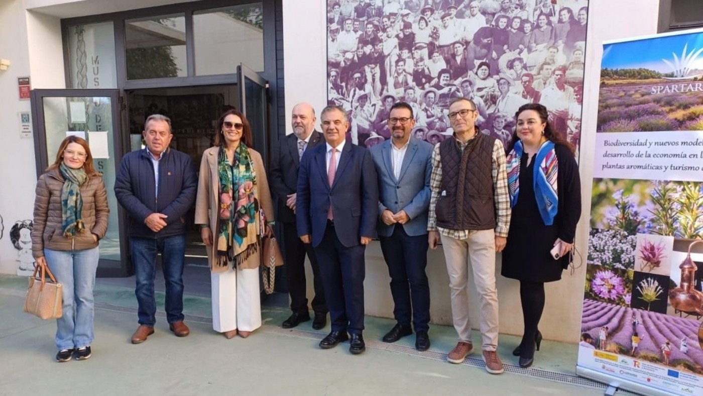 Esparto en el cemento para hacer construcciones más sólidas y sostenibles