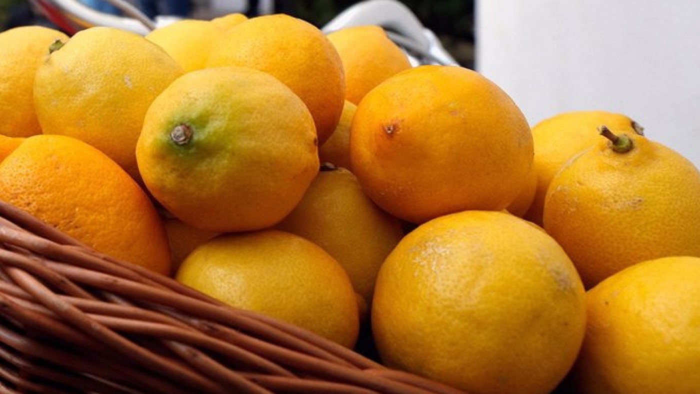 La interprofesional del limón AILIMPO pide que las cadenas de distribución aumenten los precios de compra del cítrico