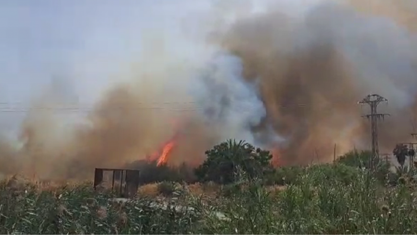 Un incendio de cañas en la mota del río amenaza a La Arboleja