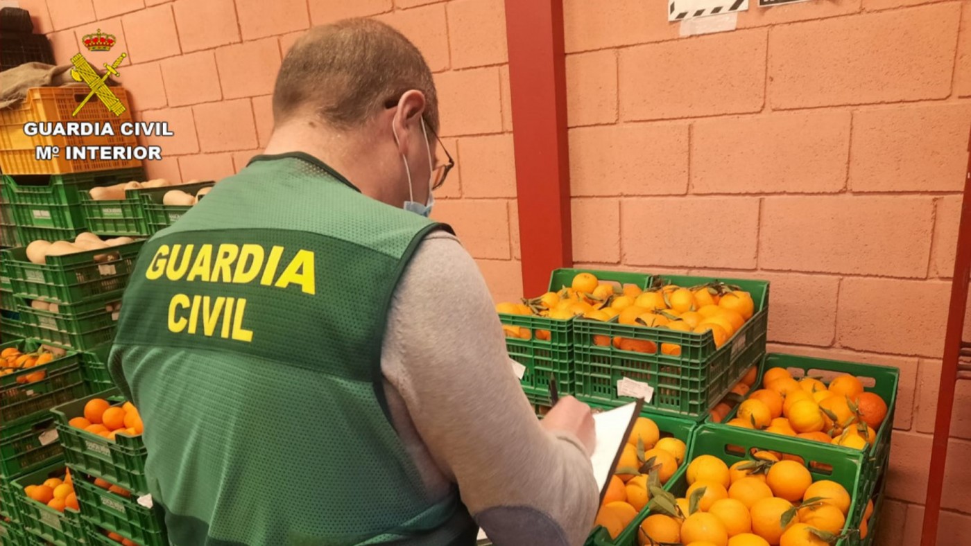 Intervenidas en Murcia naranjas contaminadas procedentes de Egipto