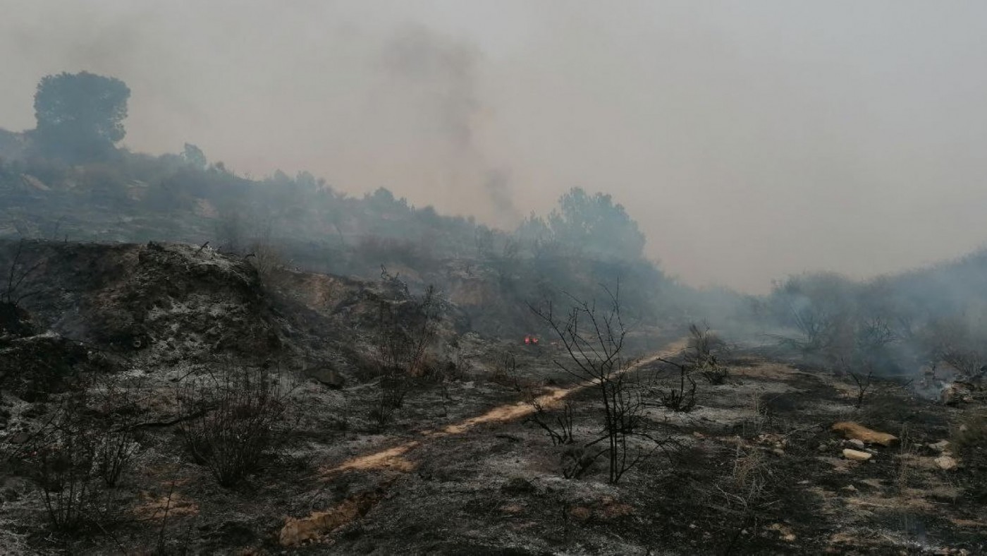 Extinguido el fuego en una zona forestal de Lorca