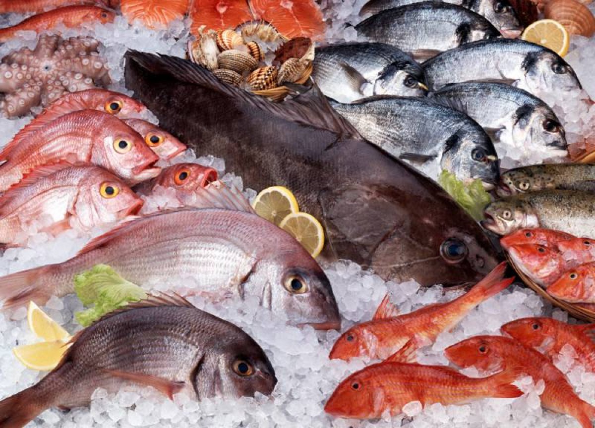 El tiempo de congelación del pescado fresco entre 5 y 7 días para prevenir  el anisakis