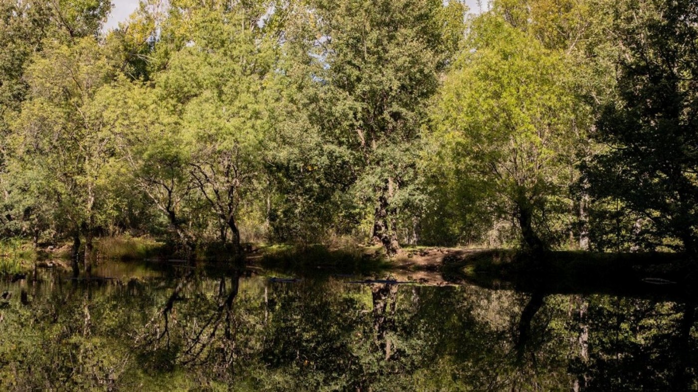 Comienza el otoño, la transición entre el verano y el invierno que cambia el paisaje y el humor
