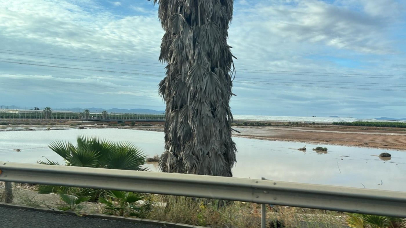 Murcia analiza la preparación de sus carreteras ante fenómenos imprevistos como danas o terremotos