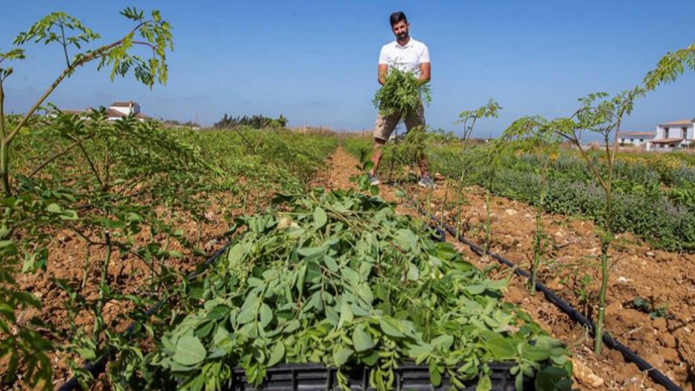 245 jóvenes agricultores y ganaderos de la Región de Murcia recibirán 10 millones de ayudas de la PAC