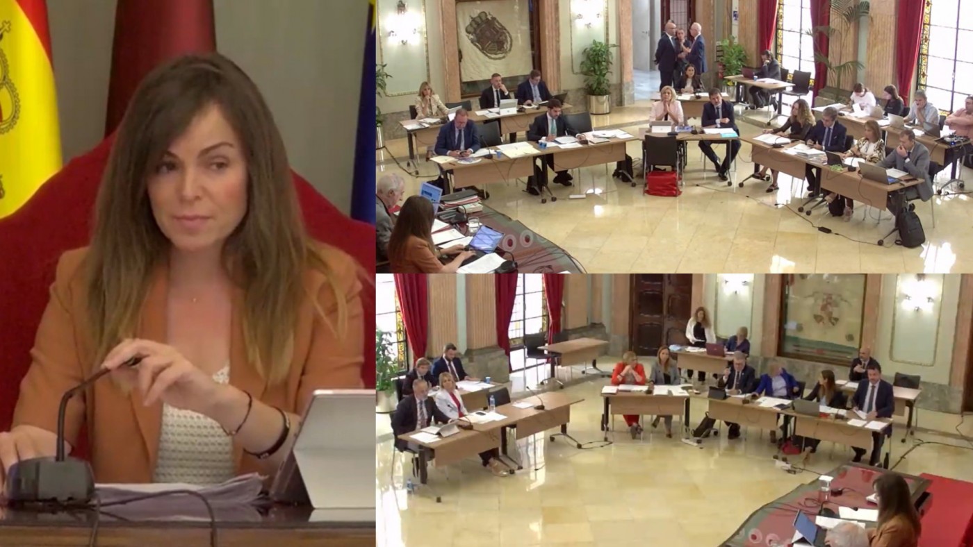 Las quejas por las ratas en Murcia capitalizan el Pleno