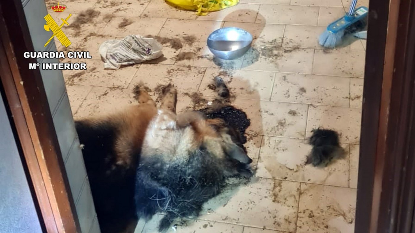 La Guardia Civil investiga a una vecina de Isla Plana por maltrato animal 