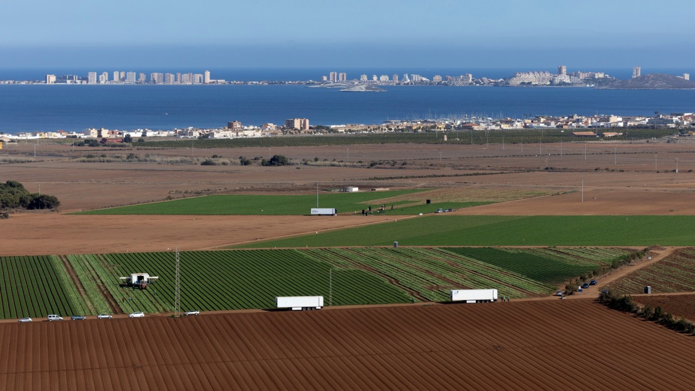 Comienza el programa 'Mirando al Mar Menor' para reconvertir 22 hectáreas al secano tradicional