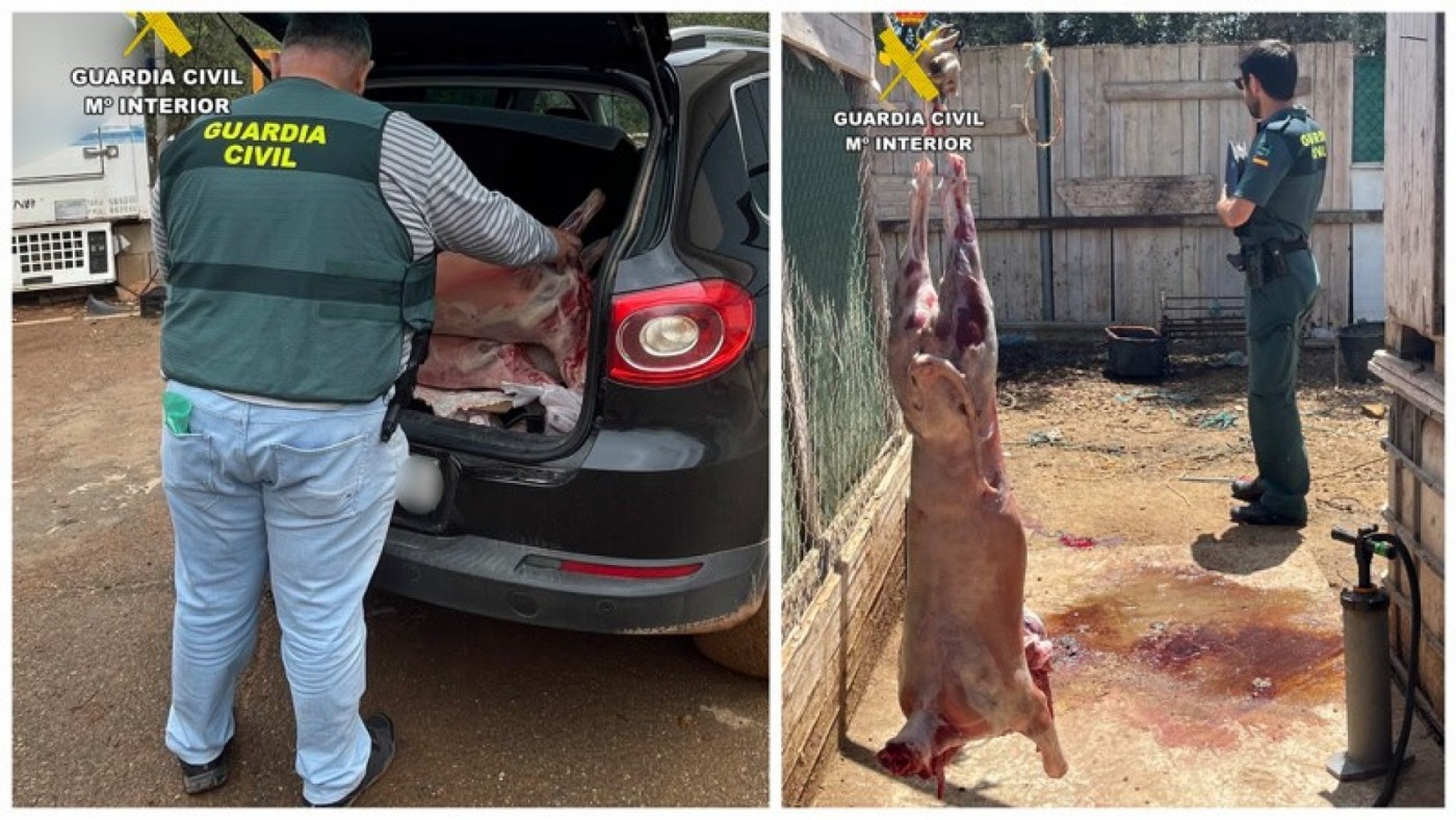 Detenidos por robar y matar ganado en el campo de Cartagena