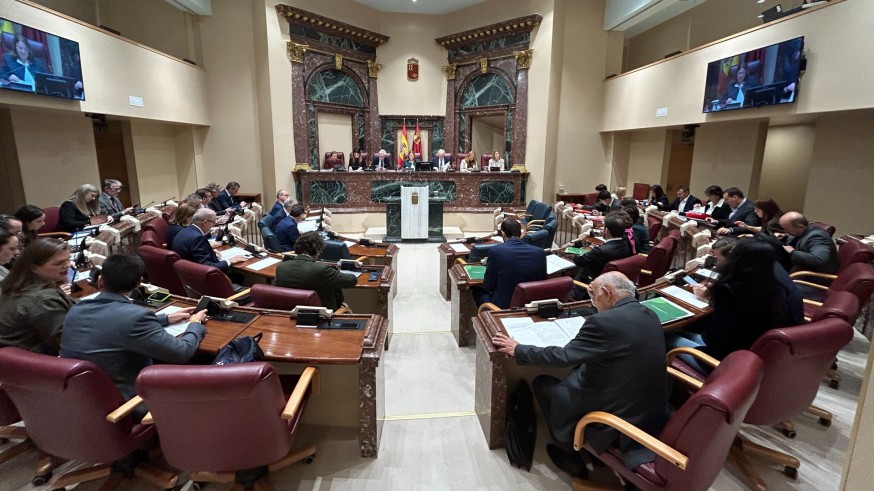 La gestión del "caso prótesis marca la sesión de control al gobierno