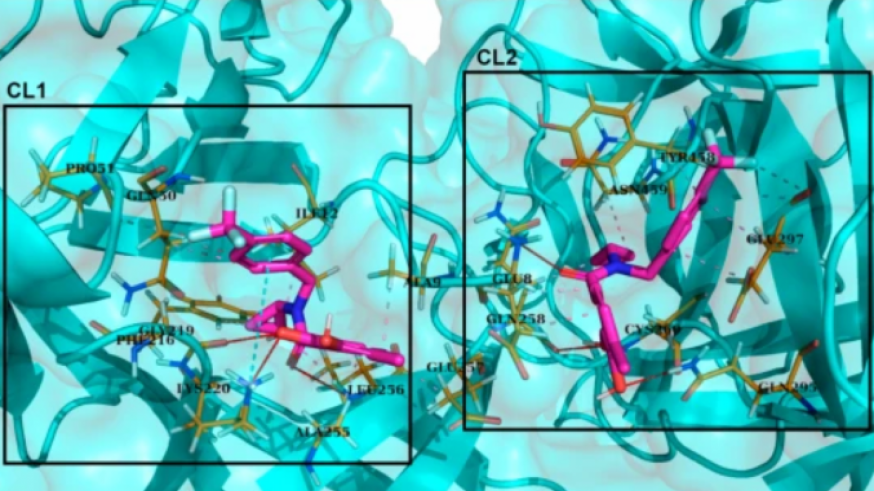 Descubren una molécula con supercomputación que podría ayudar a combatir el cáncer colorrectal