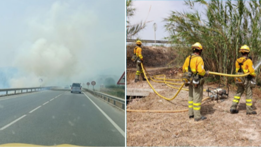 Extinguido un incendio en cultivos abandonados junto a Puente Nuevo de la Algaida, en Archena
