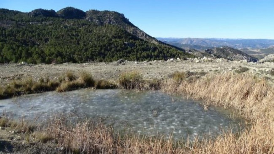 ANSE gestionará 60 hectáreas en la Sierra de Villafuerte en Moratalla