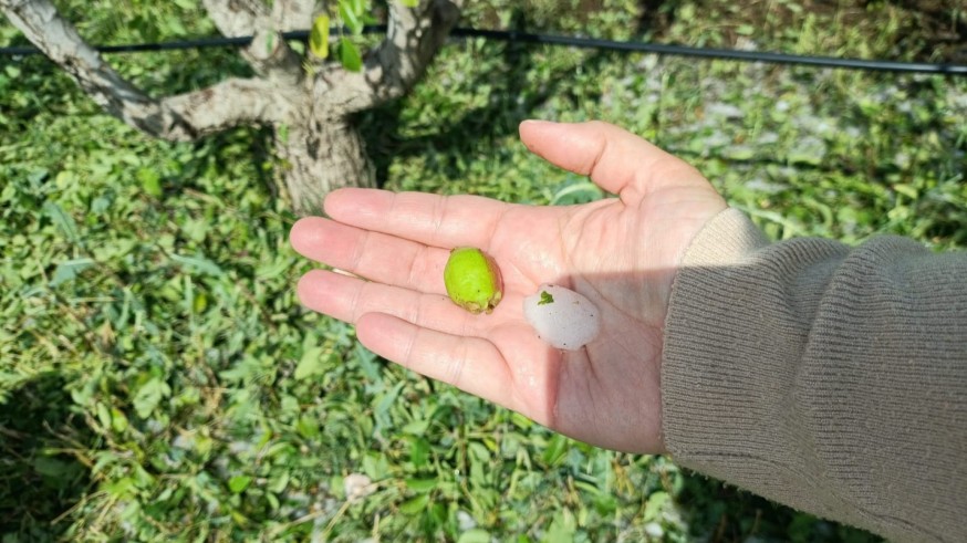 El Gobierno regional habilitará dos líneas de ayuda para los agricultores afectados por el granizo
