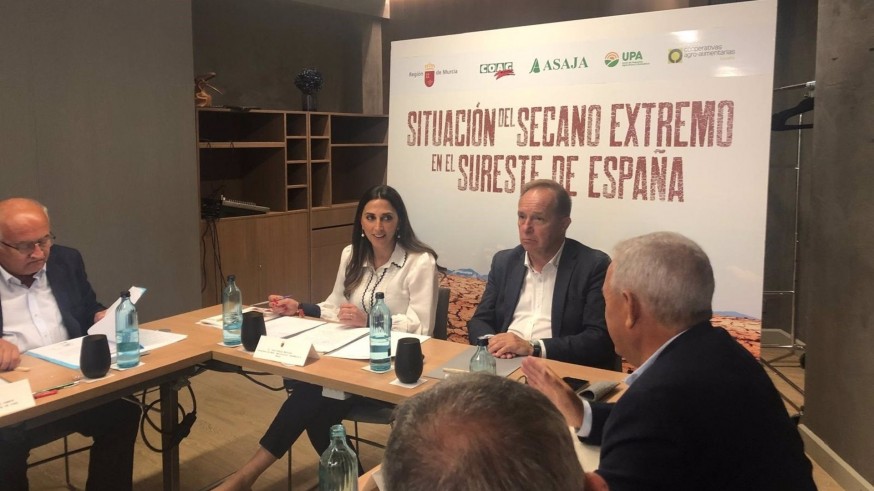 La Región de Murcia pide una reunión urgente con Planas para abordar el problema del secano